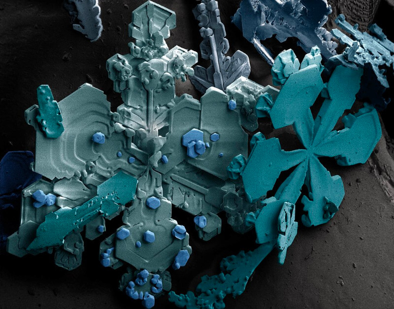 Płatek śniegu widziany pod mikroskopem elektronowym